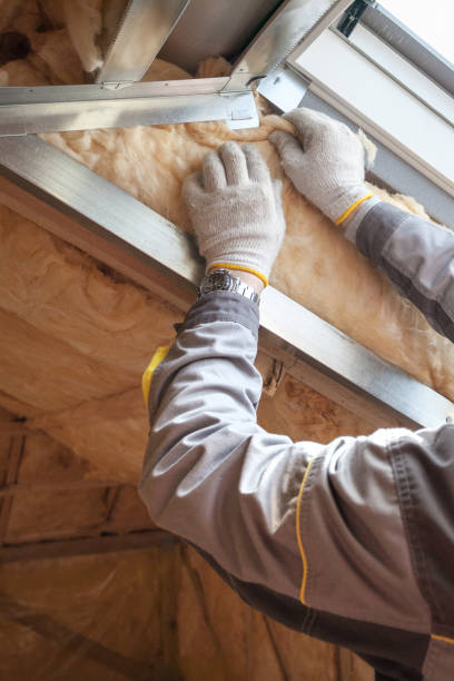 Best Residential Insulation in Earlvle, IL