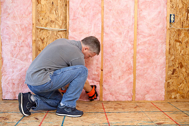 Best Specialty Insulation in Earlvle, IL